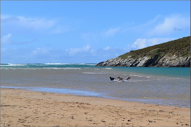 Crantock beach_Cornwall