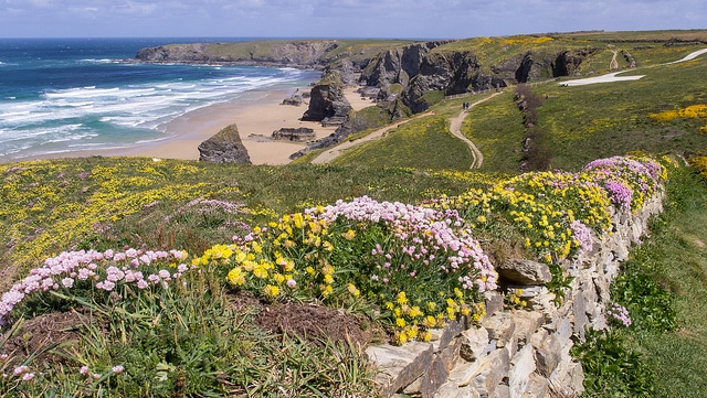 a rocky hillside with flowers and a beach